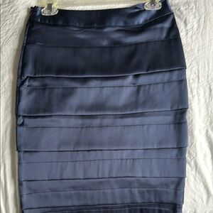 Elegant Navy Blue Women's Skirt